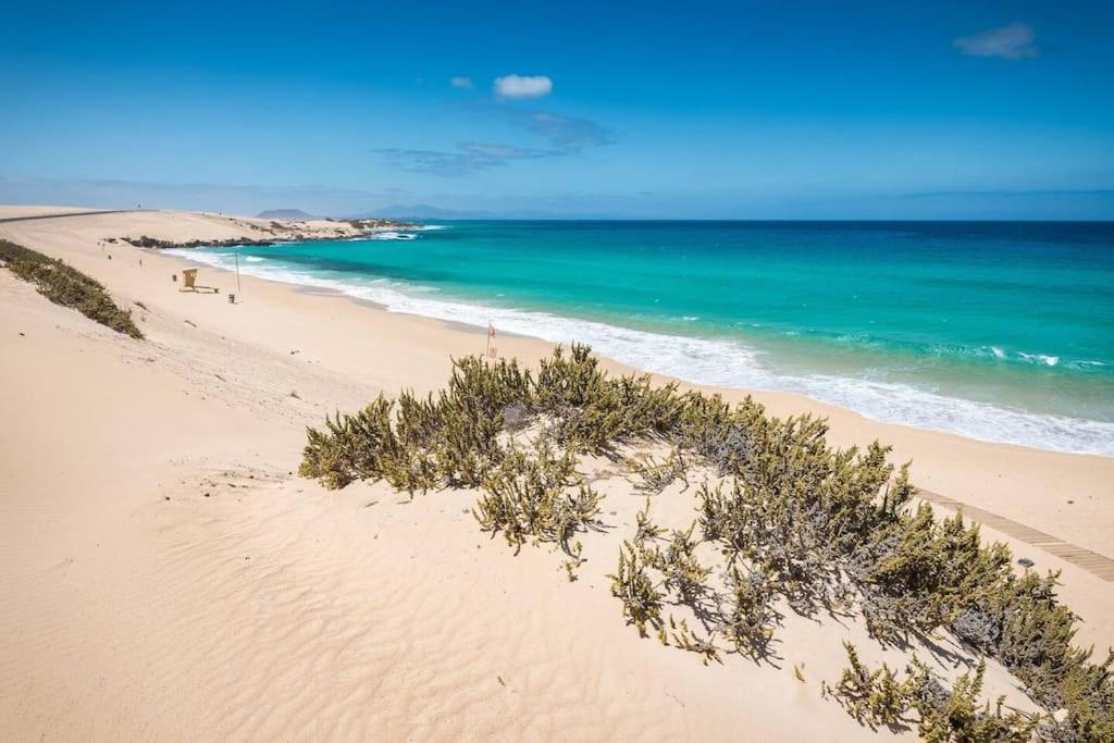 B-Rent Alisios Playa Isla Bonita Apartamento Corralejo Exterior foto
